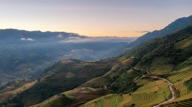 Pirinç tarlaları üzerinde Mu Cang Chai, Yenbai, Vietnam Teras. Kuzey Vietnam, hasat pirinç tarlaları hazırlamak.