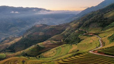 Pirinç tarlaları üzerinde Mu Cang Chai, Yenbai, Vietnam Teras. Kuzey Vietnam, hasat pirinç tarlaları hazırlamak.