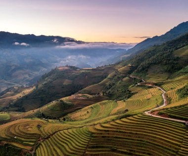 Pirinç tarlaları üzerinde Mu Cang Chai, Yenbai, Vietnam Teras. Kuzey Vietnam, hasat pirinç tarlaları hazırlamak.