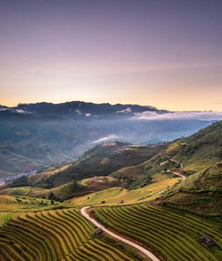 Pirinç tarlaları üzerinde Mu Cang Chai, Yenbai, Vietnam Teras. Kuzey Vietnam, hasat pirinç tarlaları hazırlamak.