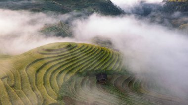 Pirinç tarlaları üzerinde Mu Cang Chai, Yenbai, Vietnam Teras. Kuzey Vietnam, hasat pirinç tarlaları hazırlamak.