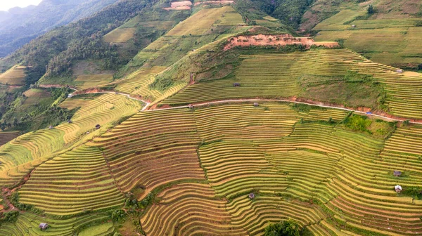 Rizières Terrasses Cang Chai Yenbai Vietnam Les Rizières Préparent Récolte — Photo