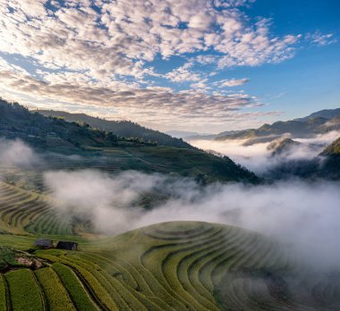 Pirinç tarlaları üzerinde Mu Cang Chai, Yenbai, Vietnam Teras. Kuzey Vietnam, hasat pirinç tarlaları hazırlamak.