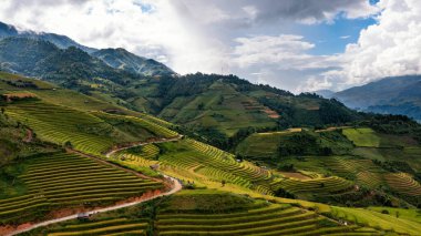 Pirinç tarlaları üzerinde Mu Cang Chai, Yenbai, Vietnam Teras. Kuzey Vietnam, hasat pirinç tarlaları hazırlamak.