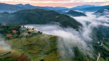 Pirinç tarlaları üzerinde Mu Cang Chai, Yenbai, Vietnam Teras. Kuzey Vietnam, hasat pirinç tarlaları hazırlamak.