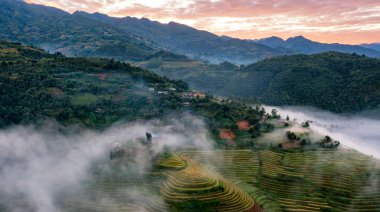 Pirinç tarlaları üzerinde Mu Cang Chai, Yenbai, Vietnam Teras. Kuzey Vietnam, hasat pirinç tarlaları hazırlamak.