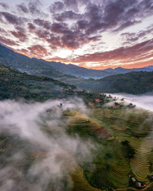 Pirinç tarlaları üzerinde Mu Cang Chai, Yenbai, Vietnam Teras. Kuzey Vietnam, hasat pirinç tarlaları hazırlamak.