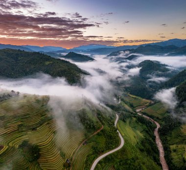 Pirinç tarlaları üzerinde Mu Cang Chai, Yenbai, Vietnam Teras. Kuzey Vietnam, hasat pirinç tarlaları hazırlamak.