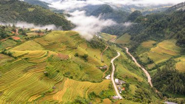 Pirinç tarlaları üzerinde Mu Cang Chai, Yenbai, Vietnam Teras. Kuzey Vietnam, hasat pirinç tarlaları hazırlamak.