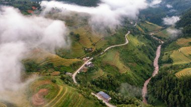 Pirinç tarlaları üzerinde Mu Cang Chai, Yenbai, Vietnam Teras. Kuzey Vietnam, hasat pirinç tarlaları hazırlamak.