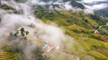 Pirinç tarlaları üzerinde Mu Cang Chai, Yenbai, Vietnam Teras. Kuzey Vietnam, hasat pirinç tarlaları hazırlamak.