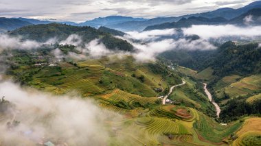 Pirinç tarlaları üzerinde Mu Cang Chai, Yenbai, Vietnam Teras. Kuzey Vietnam, hasat pirinç tarlaları hazırlamak.
