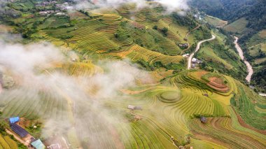 Pirinç tarlaları üzerinde Mu Cang Chai, Yenbai, Vietnam Teras. Kuzey Vietnam, hasat pirinç tarlaları hazırlamak.