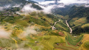 Pirinç tarlaları üzerinde Mu Cang Chai, Yenbai, Vietnam Teras. Kuzey Vietnam, hasat pirinç tarlaları hazırlamak.