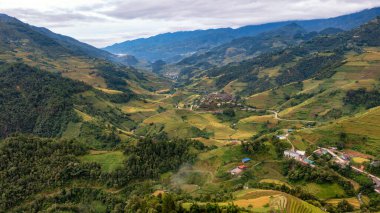 Pirinç tarlaları üzerinde Mu Cang Chai, Yenbai, Vietnam Teras. Kuzey Vietnam, hasat pirinç tarlaları hazırlamak.