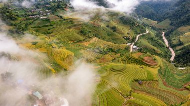 Pirinç tarlaları üzerinde Mu Cang Chai, Yenbai, Vietnam Teras. Kuzey Vietnam, hasat pirinç tarlaları hazırlamak.