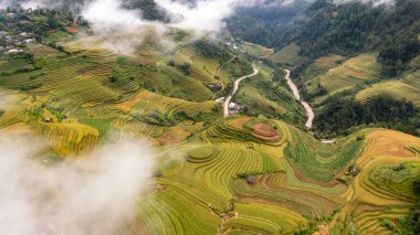 Pirinç tarlaları üzerinde Mu Cang Chai, Yenbai, Vietnam Teras. Kuzey Vietnam, hasat pirinç tarlaları hazırlamak.