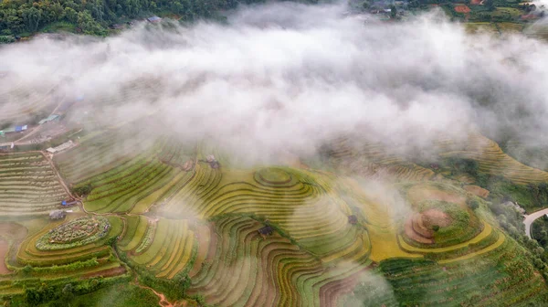 Pól Ryżowych Tarasowe Cang Chai Yenbai Wietnam Pól Ryżowych Przygotowanie — Zdjęcie stockowe
