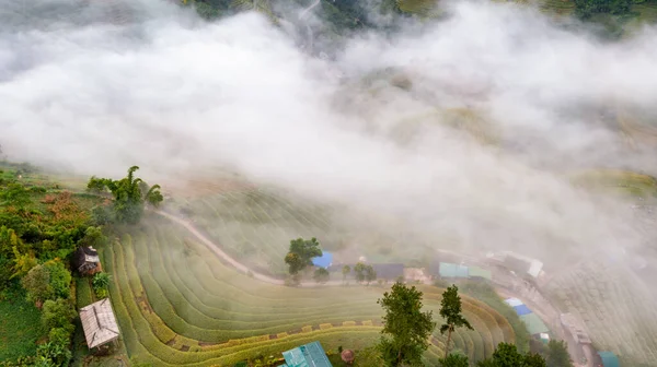 田んぼには 倉チャイ Yenbai ベトナムの棚田 田んぼの準備ベトナム北西部で収穫 — ストック写真