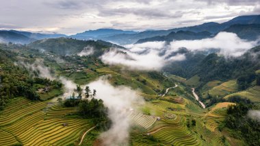 Pirinç tarlaları üzerinde Mu Cang Chai, Yenbai, Vietnam Teras. Kuzey Vietnam, hasat pirinç tarlaları hazırlamak.