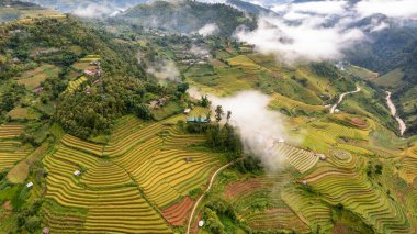 Pirinç tarlaları üzerinde Mu Cang Chai, Yenbai, Vietnam Teras. Kuzey Vietnam, hasat pirinç tarlaları hazırlamak.