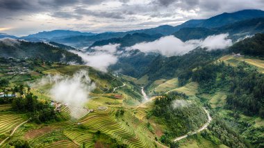 Pirinç tarlaları üzerinde Mu Cang Chai, Yenbai, Vietnam Teras. Kuzey Vietnam, hasat pirinç tarlaları hazırlamak.
