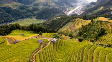 Pirinç tarlaları üzerinde Mu Cang Chai, Yenbai, Vietnam Teras. Kuzey Vietnam, hasat pirinç tarlaları hazırlamak.