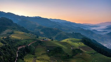 Pirinç tarlaları üzerinde Mu Cang Chai, Yenbai, Vietnam Teras. Kuzey Vietnam, hasat pirinç tarlaları hazırlamak.