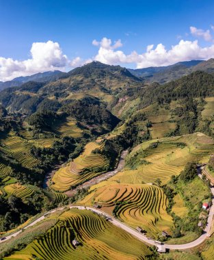 Pirinç tarlaları üzerinde Mu Cang Chai, Yenbai, Vietnam Teras. Kuzey Vietnam, hasat pirinç tarlaları hazırlamak.