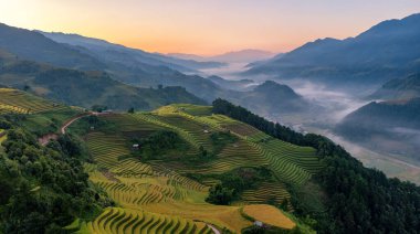 Pirinç tarlaları üzerinde Mu Cang Chai, Yenbai, Vietnam Teras. Kuzey Vietnam, hasat pirinç tarlaları hazırlamak.