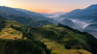Pirinç tarlaları üzerinde Mu Cang Chai, Yenbai, Vietnam Teras. Kuzey Vietnam, hasat pirinç tarlaları hazırlamak.