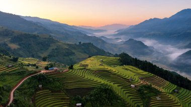 Pirinç tarlaları üzerinde Mu Cang Chai, Yenbai, Vietnam Teras. Kuzey Vietnam, hasat pirinç tarlaları hazırlamak.