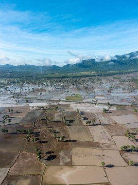 Chau Doc, An Giang, Vietnam 'da gün batımında şeker palmiyeli güzel pirinç terası.