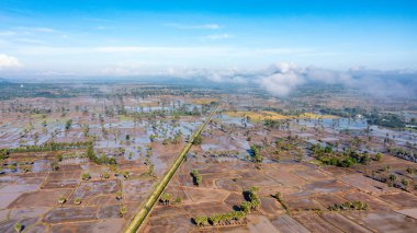 Chau Doc, An Giang, Vietnam 'da gün batımında şeker palmiyeli güzel pirinç terası.