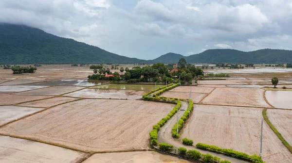 stock image Khmer pagoda between rice fields in An Giang from aerial view