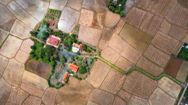 An Giang 'daki pirinç tarlaları arasındaki Khmer tapınağı.