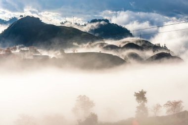 Sapa, Vietnam 'da kiraz çiçeği ve çay tepesi. Sa Pa, Vietnam 'ın kuzeybatısındaki Lao Cai eyaletinin eski Sa Pa Bölgesi' nin sınır kasabası ve başkentidir.