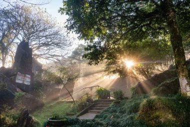 Sapa Kasabası, Lao Cai Eyaleti, Kuzey Vietnam.