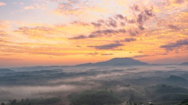 Long Coc çay tepesinde gün doğumu sisli, Phu Tho vilayeti, Vietnam.