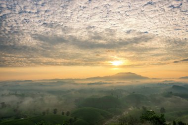 Long Coc çay tepesinde gün doğumu sisli, Phu Tho vilayeti, Vietnam.