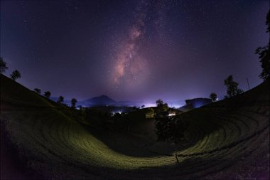 Long Coc çay tepesinde gece Samanyolu, Phu Tho vilayeti, Vietnam.