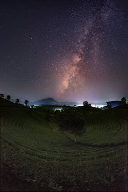 Long Coc çay tepesinde gece Samanyolu, Phu Tho vilayeti, Vietnam.