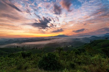 Long Coc çay tepesinde gün doğumu sisli, Phu Tho vilayeti, Vietnam.