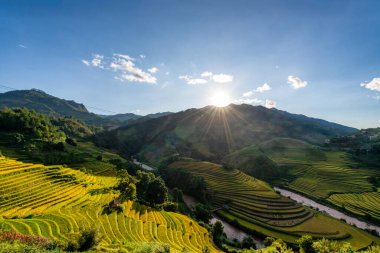 Mu Cang Chai, YenBai, Vietnam 'daki pirinç tarlaları. Pirinç tarlaları Kuzeybatı Vietnam 'da hasat hazırlıyor. Vietnam manzaraları..