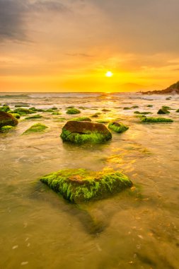 Nam O Beach, Da Nang Beach Danang City, Vietnam güzel bir kumsal var. Sahilde güzel moss kayalar seyahat için ilginç ve bir fotoğraf çekmek.