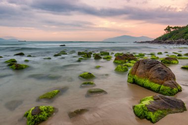Nam O Beach, Da Nang Beach Danang City, Vietnam güzel bir kumsal var. Sahilde güzel moss kayalar seyahat için ilginç ve bir fotoğraf çekmek.