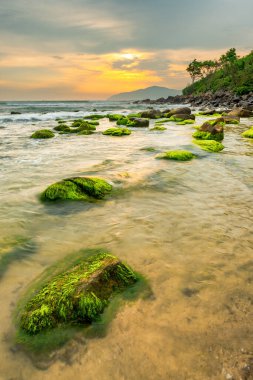 Nam O Beach, Da Nang Beach Danang City, Vietnam güzel bir kumsal var. Sahilde güzel moss kayalar seyahat için ilginç ve bir fotoğraf çekmek.