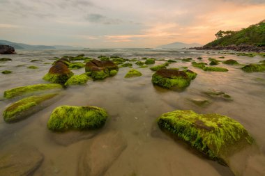 Nam O Beach, Da Nang Beach Danang City, Vietnam güzel bir kumsal var. Sahilde güzel moss kayalar seyahat için ilginç ve bir fotoğraf çekmek.