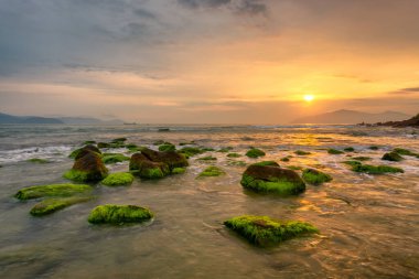 Nam O Beach, Da Nang Beach Danang City, Vietnam güzel bir kumsal var. Sahilde güzel moss kayalar seyahat için ilginç ve bir fotoğraf çekmek.