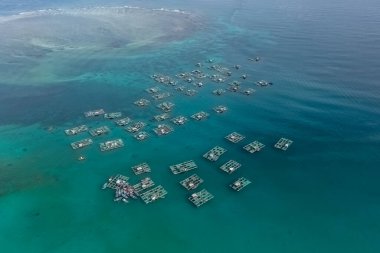 Ly Son Adası, Quang Ngai 'nin bir ilçesidir ve çoğu gezginin dikkatini çekmez.